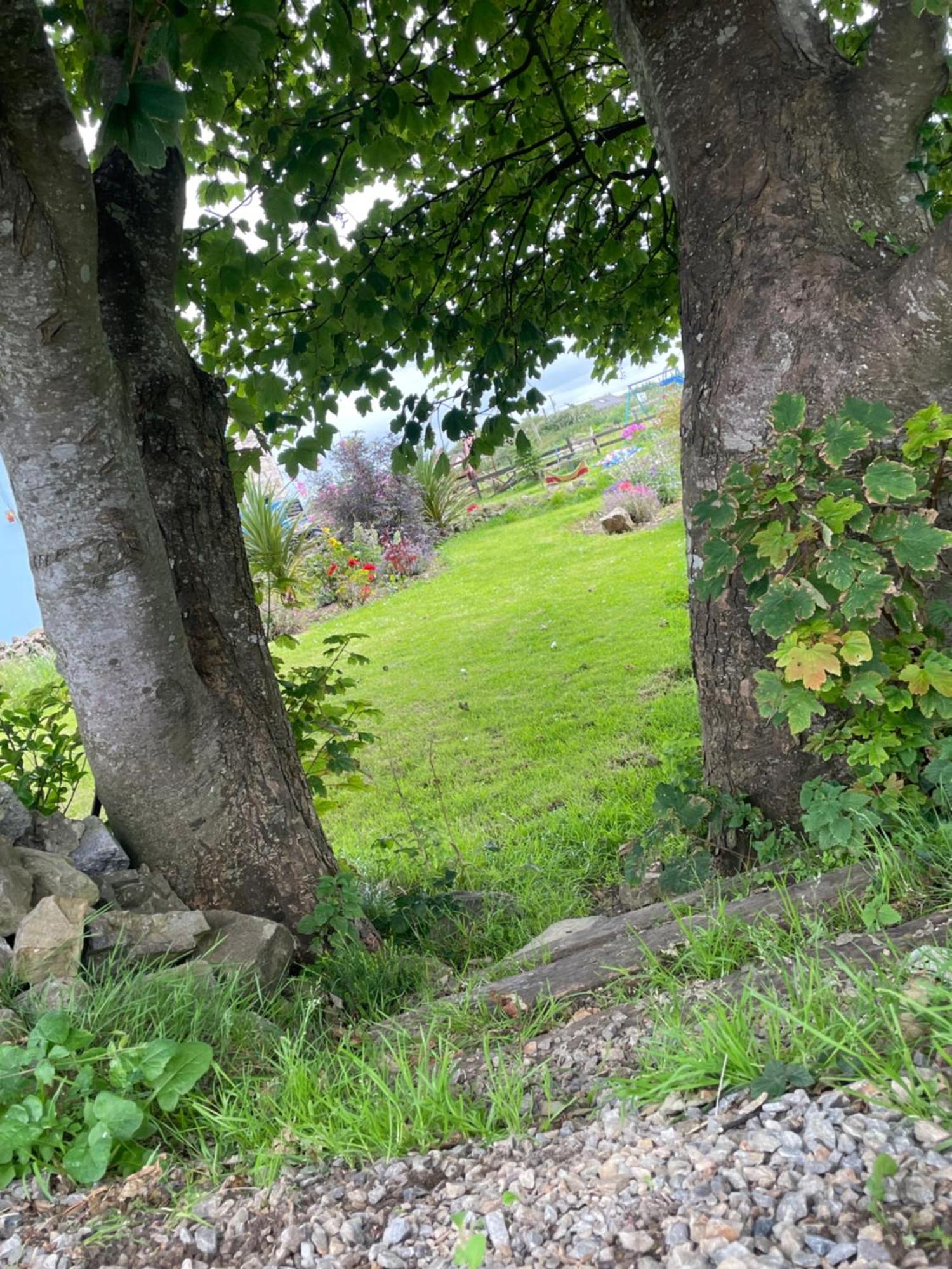 Family And Pet Friendly Farm Stay Ballyshannon Buitenkant foto