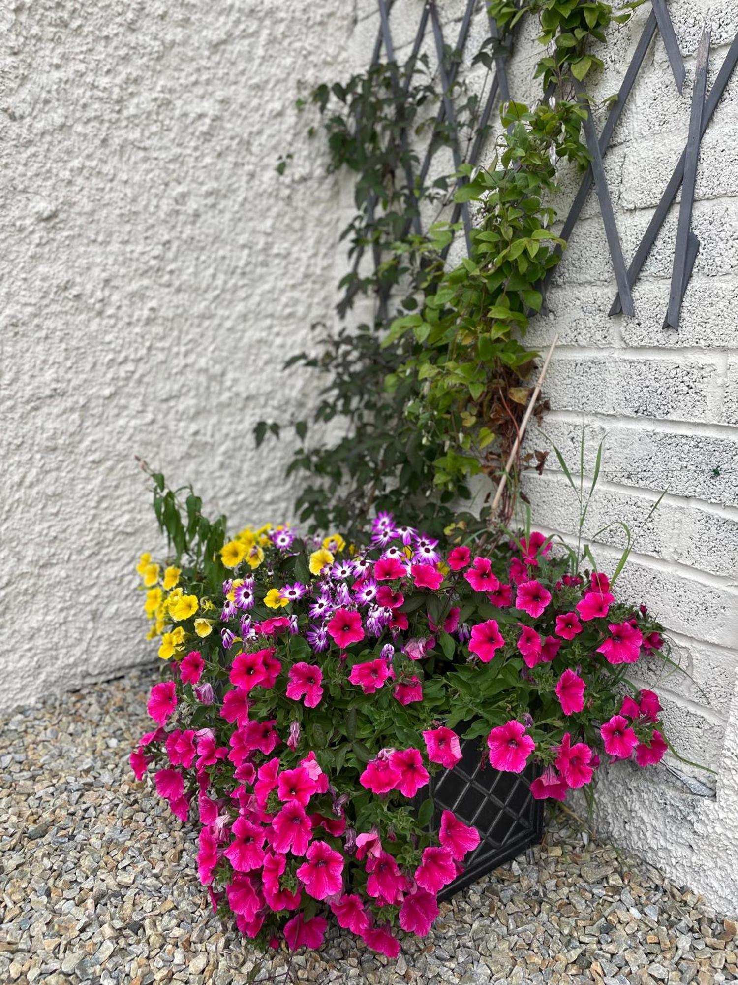 Family And Pet Friendly Farm Stay Ballyshannon Buitenkant foto